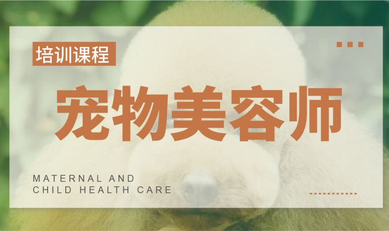 宠物美容护理师
