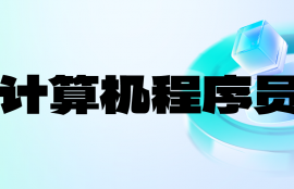 计算机程序员